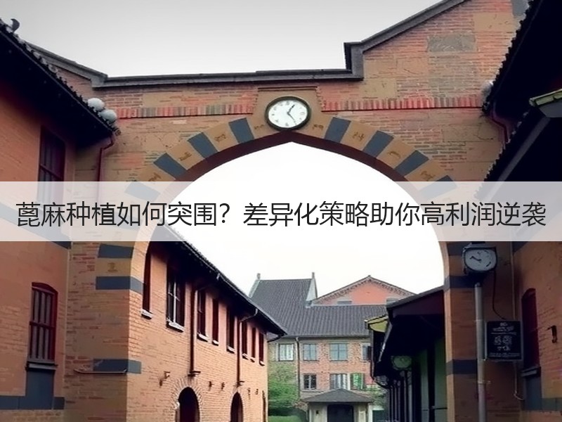 蓖麻种植如何突围？差异化策略助你高利润逆袭