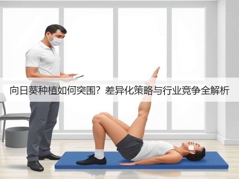 向日葵种植如何突围？差异化策略与行业竞争全解析