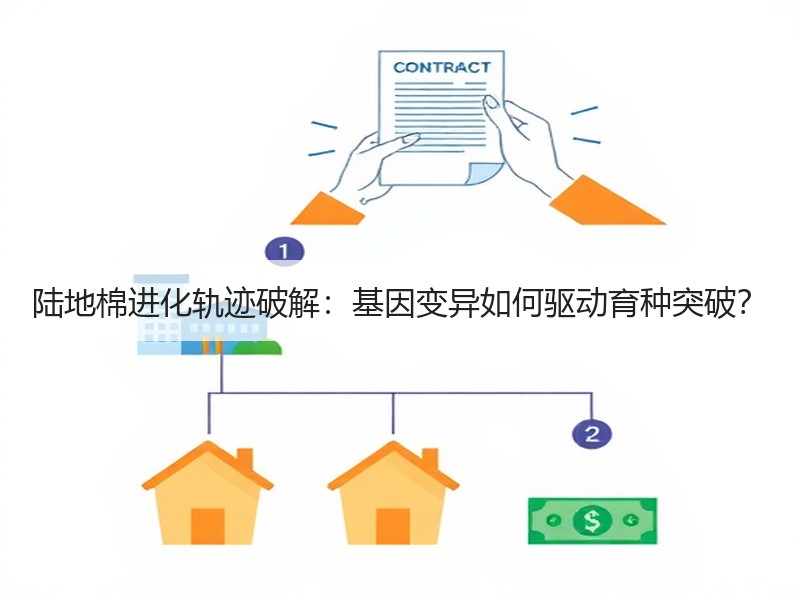 陆地棉进化轨迹破解：基因变异如何驱动育种突破？