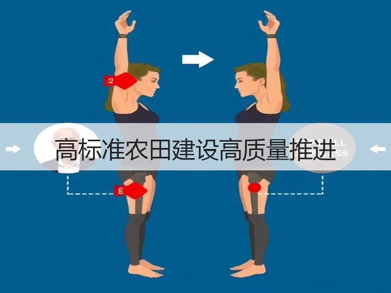 高标准农田建设高质量推进