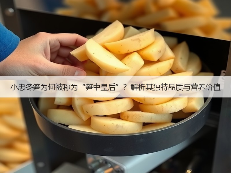 小忠冬笋为何被称为“笋中皇后”？解析其独特品质与营养价值