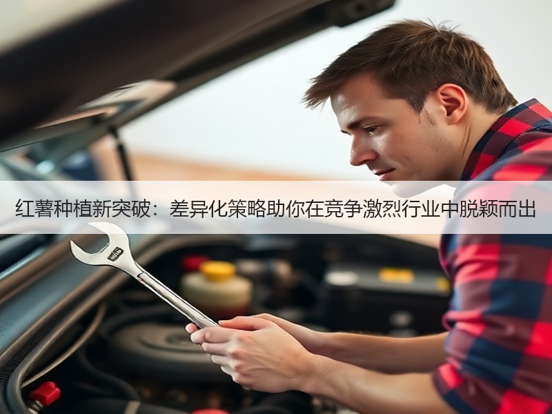红薯种植新突破：差异化策略助你在竞争激烈行业中脱颖而出