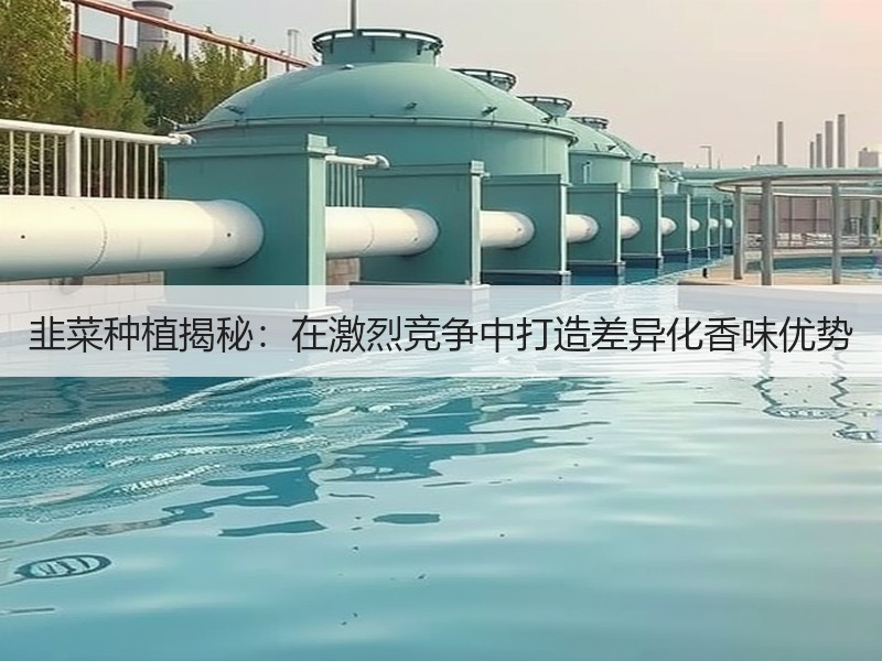 韭菜种植揭秘：在激烈竞争中打造差异化香味优势