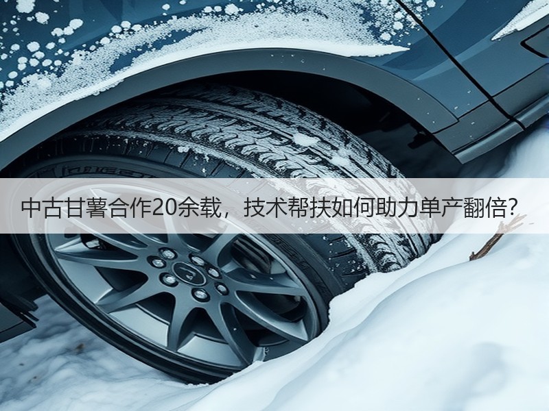 中古甘薯合作20余载，技术帮扶如何助力单产翻倍？