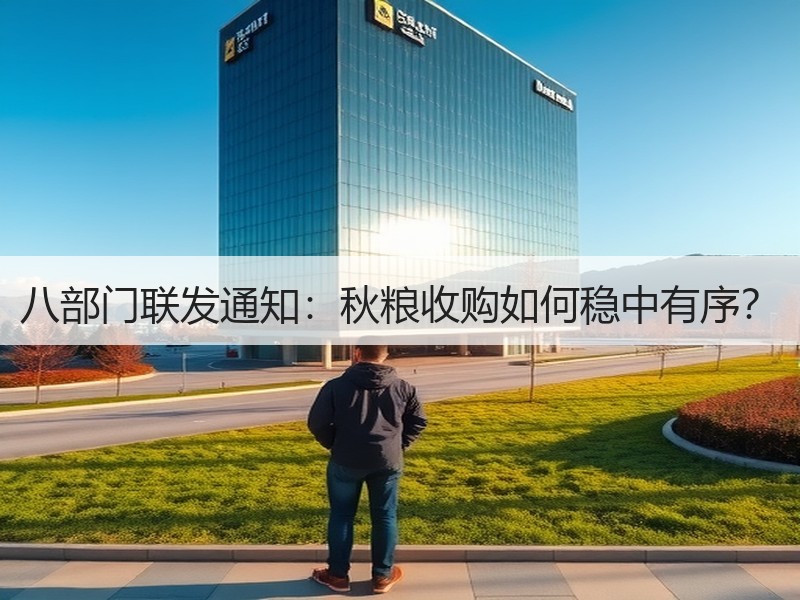 八部门联发通知：秋粮收购如何稳中有序？