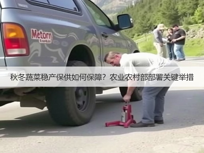 秋冬蔬菜稳产保供如何保障？农业农村部部署关键举措