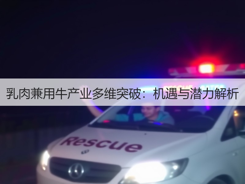 乳肉兼用牛产业多维突破：机遇与潜力解析