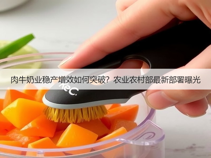 肉牛奶业稳产增效如何突破？农业农村部最新部署曝光