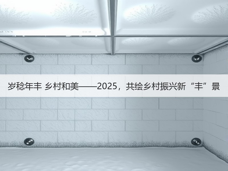 岁稔年丰 乡村和美——2025，共绘乡村振兴新“丰”景