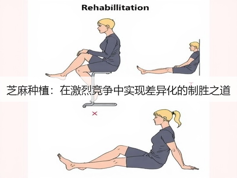 芝麻种植：在激烈竞争中实现差异化的制胜之道