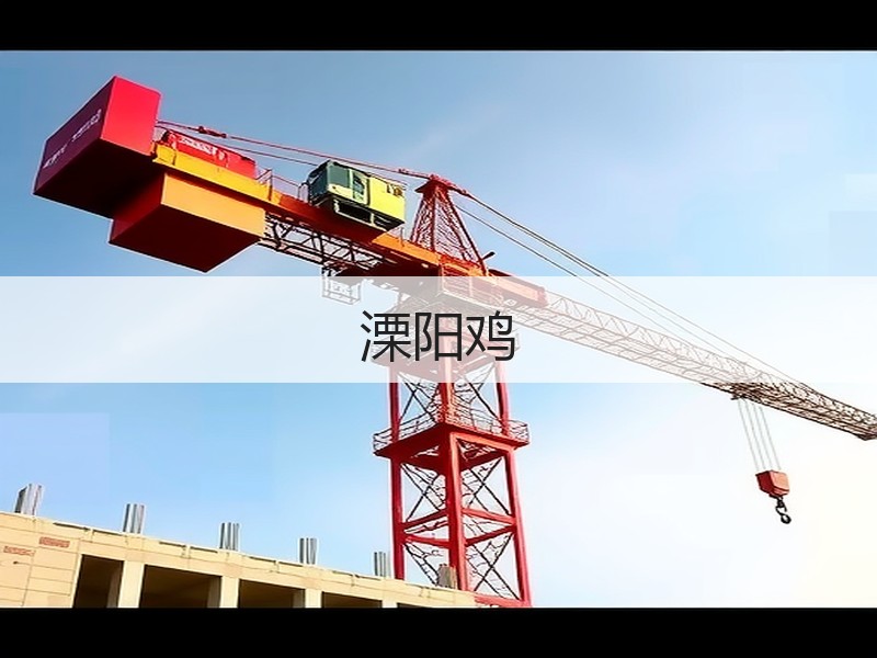溧阳鸡