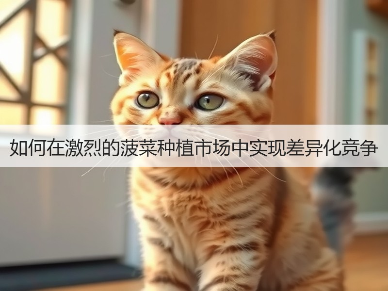如何在激烈的菠菜种植市场中实现差异化竞争