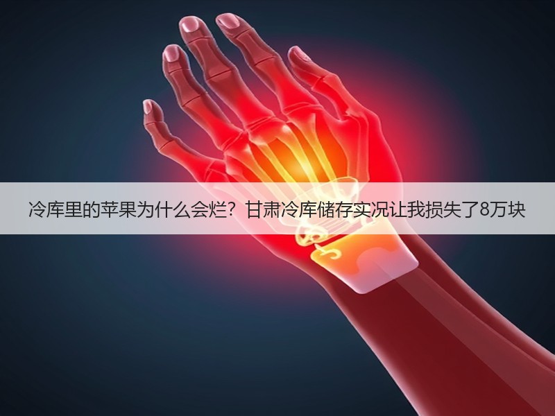 冷库里的苹果为什么会烂？甘肃冷库储存实况让我损失了8万块