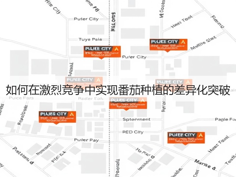 如何在激烈竞争中实现番茄种植的差异化突破
