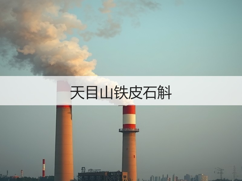 天目山铁皮石斛