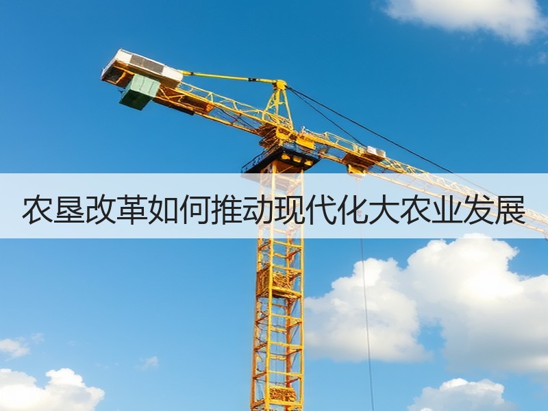 农垦改革如何推动现代化大农业发展