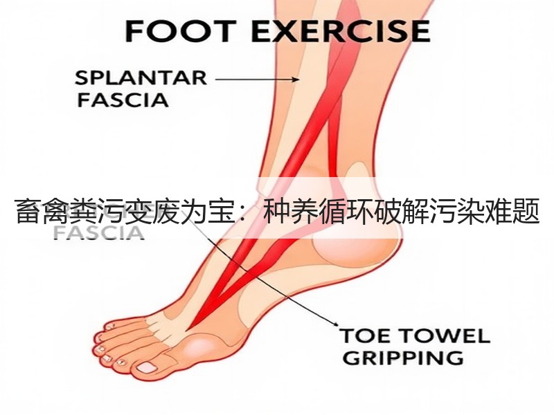 畜禽粪污变废为宝：种养循环破解污染难题