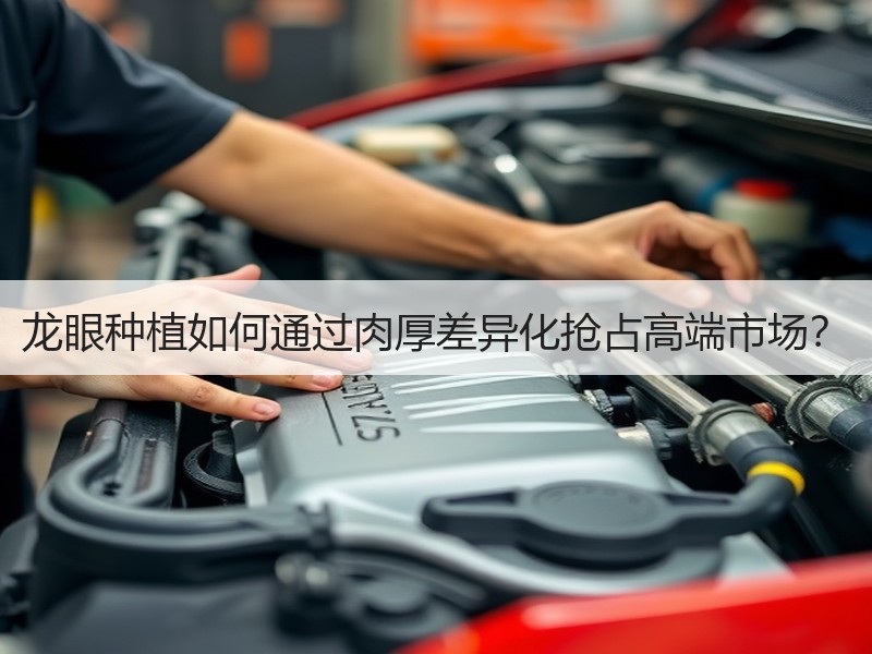 龙眼种植如何通过肉厚差异化抢占高端市场？