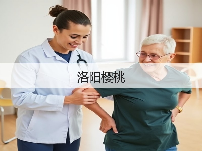 洛阳樱桃