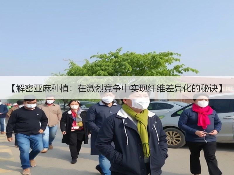 【解密亚麻种植：在激烈竞争中实现纤维差异化的秘诀】