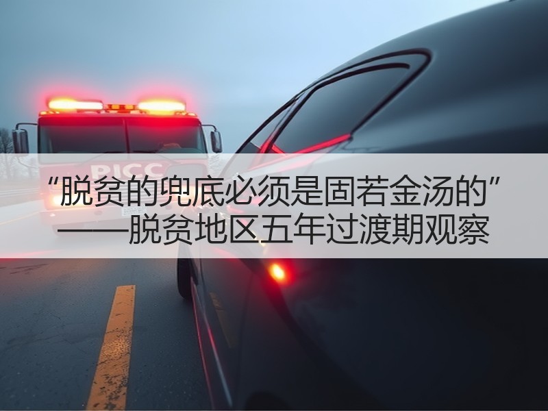 “脱贫的兜底必须是固若金汤的” ——脱贫地区五年过渡期观察
