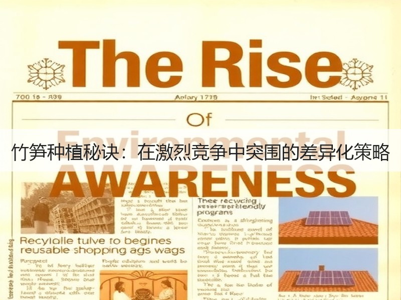 竹笋种植秘诀：在激烈竞争中突围的差异化策略