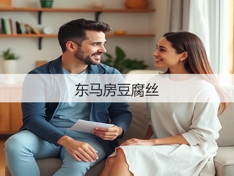 东马房豆腐丝