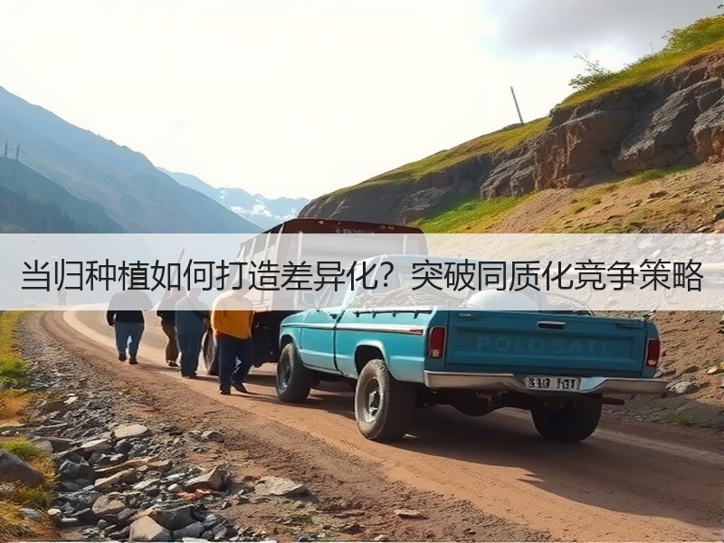 当归种植如何打造差异化？突破同质化竞争策略