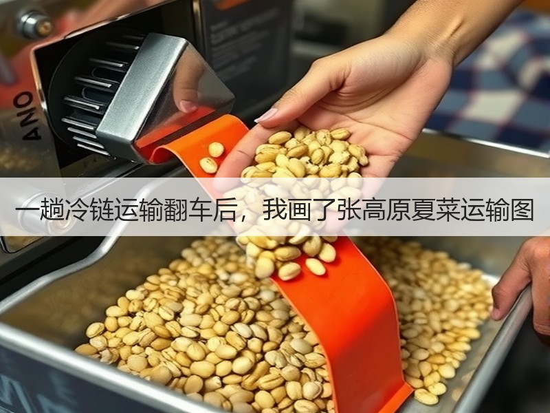 一趟冷链运输翻车后，我画了张高原夏菜运输图