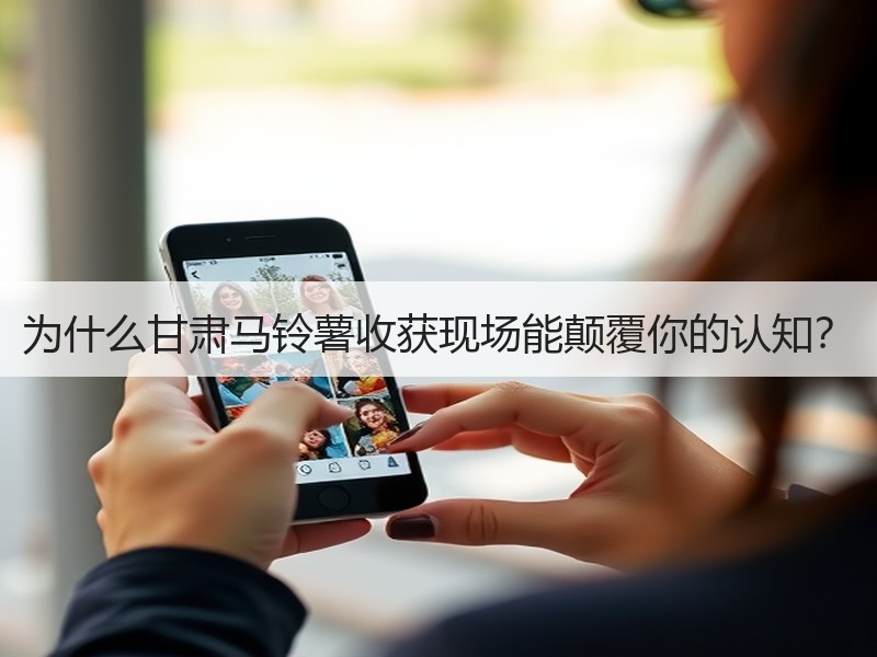 为什么甘肃马铃薯收获现场能颠覆你的认知？