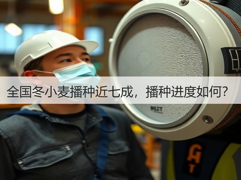 全国冬小麦播种近七成，播种进度如何？