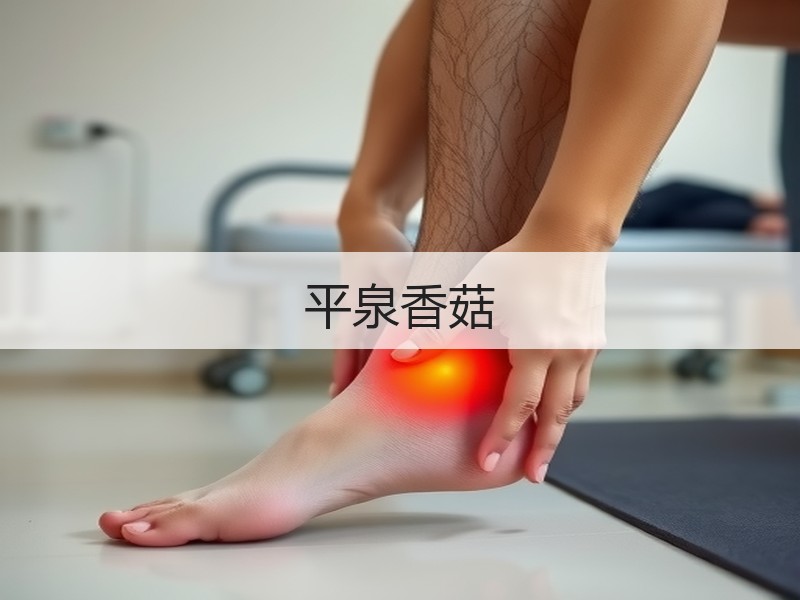 平泉香菇