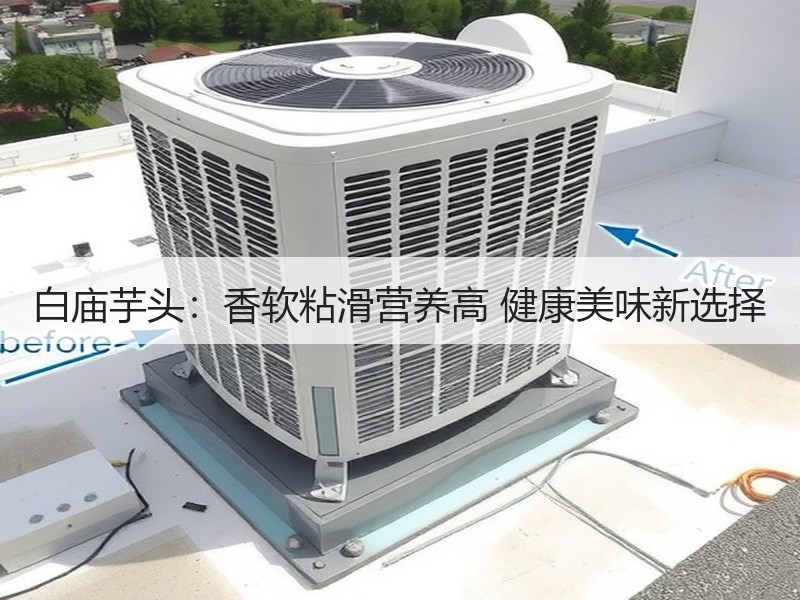 白庙芋头：香软粘滑营养高 健康美味新选择