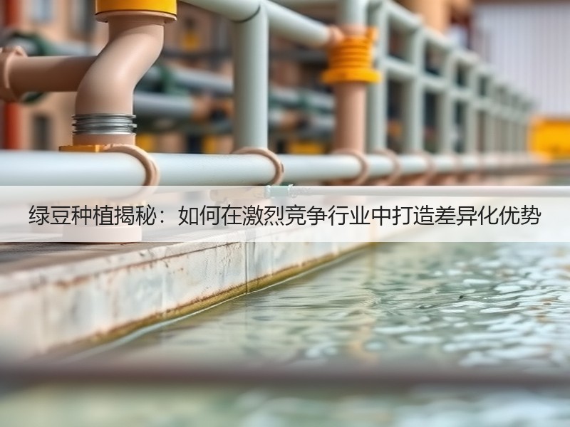 绿豆种植揭秘：如何在激烈竞争行业中打造差异化优势