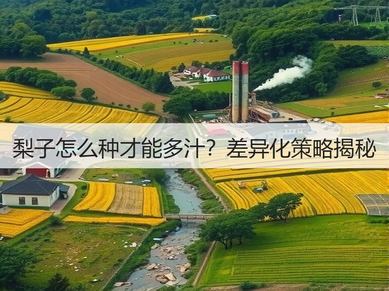 梨子怎么种才能多汁？差异化策略揭秘