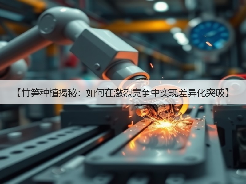 【竹笋种植揭秘：如何在激烈竞争中实现差异化突破】
