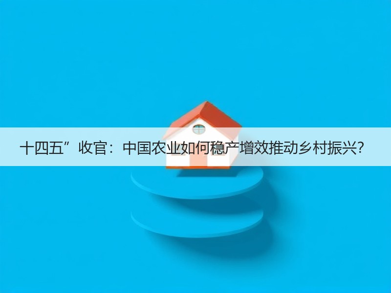 十四五”收官：中国农业如何稳产增效推动乡村振兴？