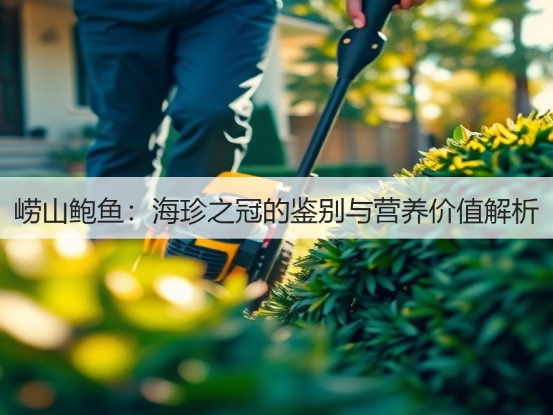 崂山鲍鱼：海珍之冠的鉴别与营养价值解析