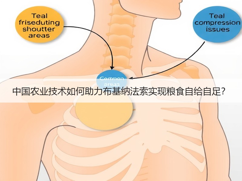 中国农业技术如何助力布基纳法索实现粮食自给自足？