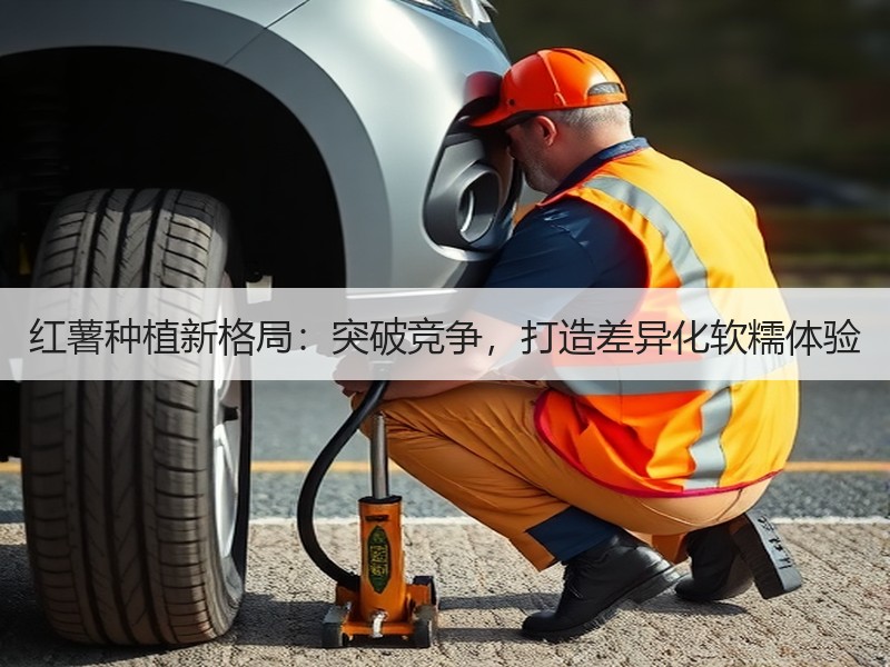 红薯种植新格局：突破竞争，打造差异化软糯体验